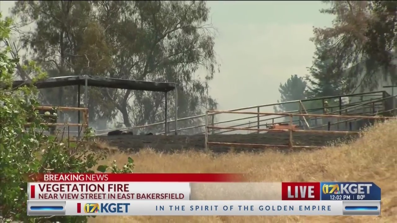 Firefighters battle brush fire near View Street – KGET 17 News