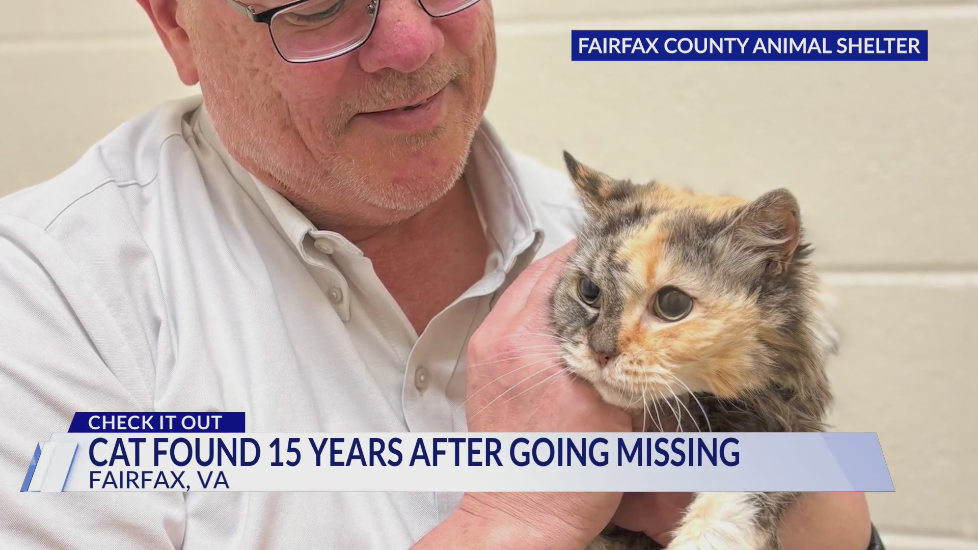 Cat found 15 years later after going missing in Fairfax County – DC ...