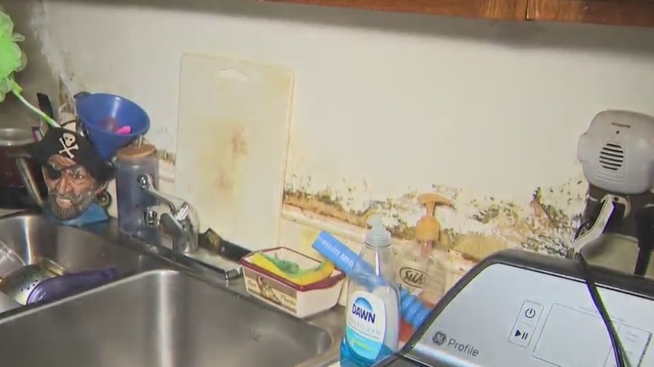 NYC grandmother says her home is ‘toxic’ with mold – PIX11
