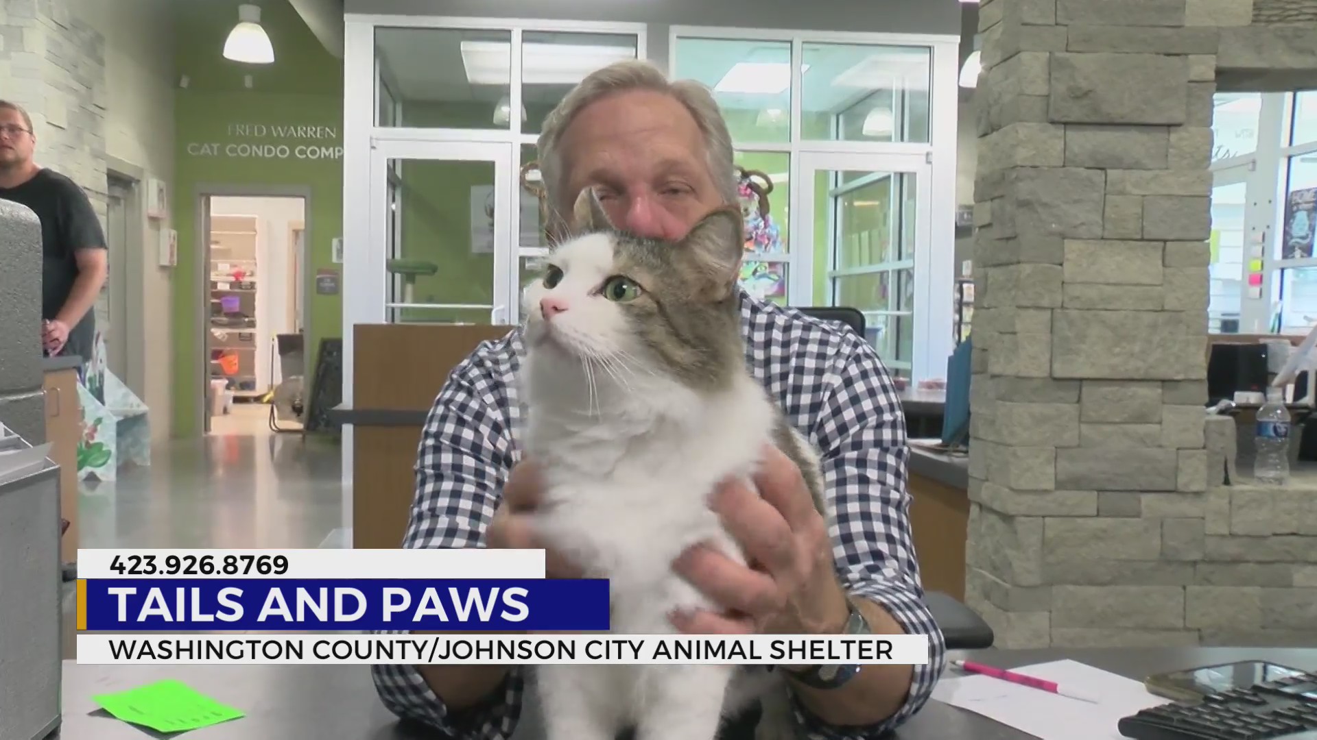Pets up for adoption for the start of November – WJHL | Tri-Cities News ...