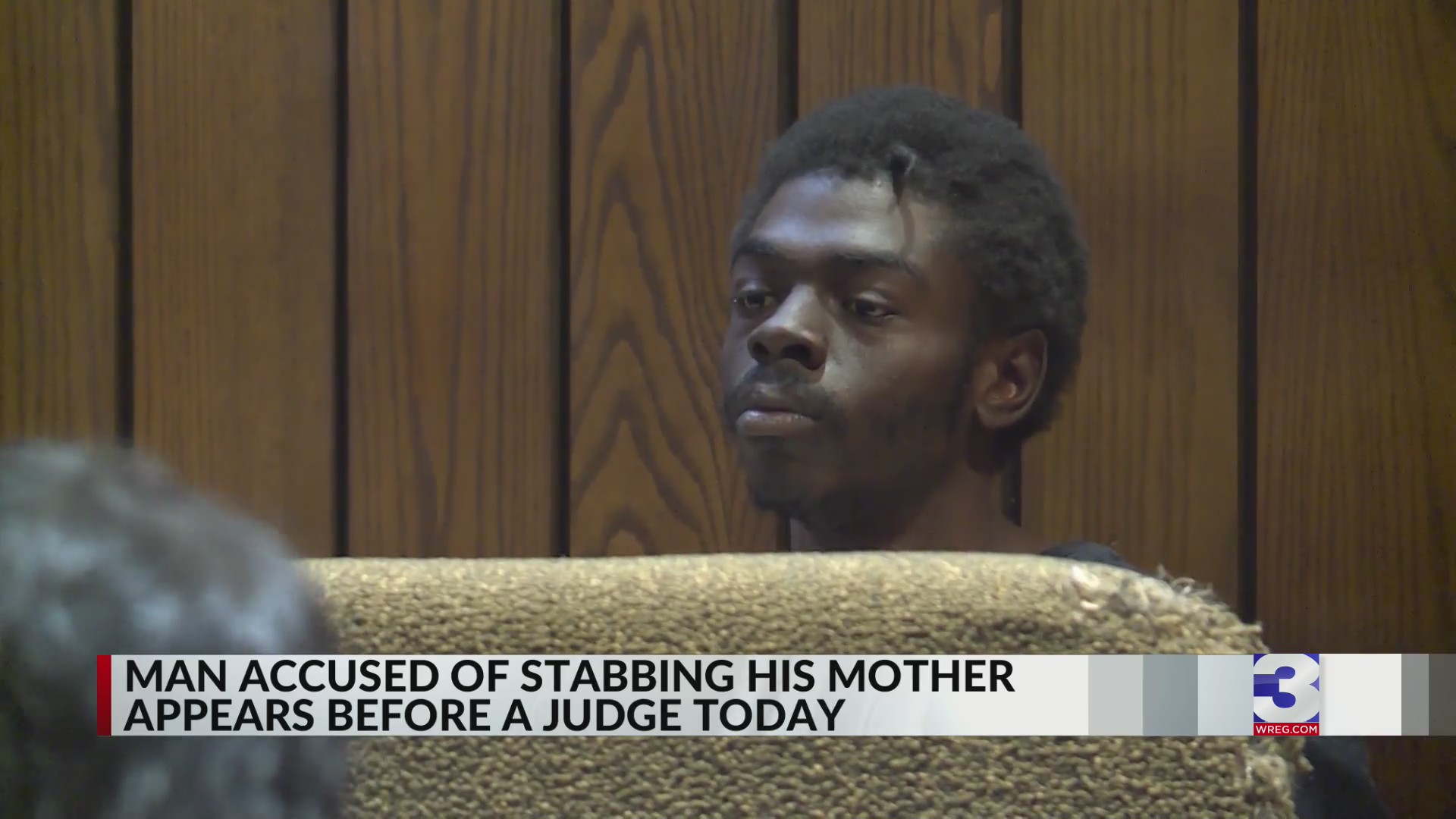 Man accused of stabbing mother in face, neck appears in court – WREG.com