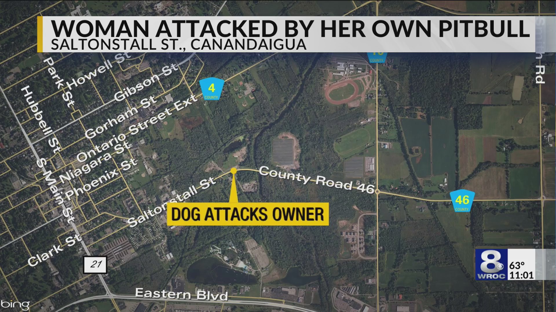Police: Woman severely injured in pit bull attack; dog fatally shot by ...