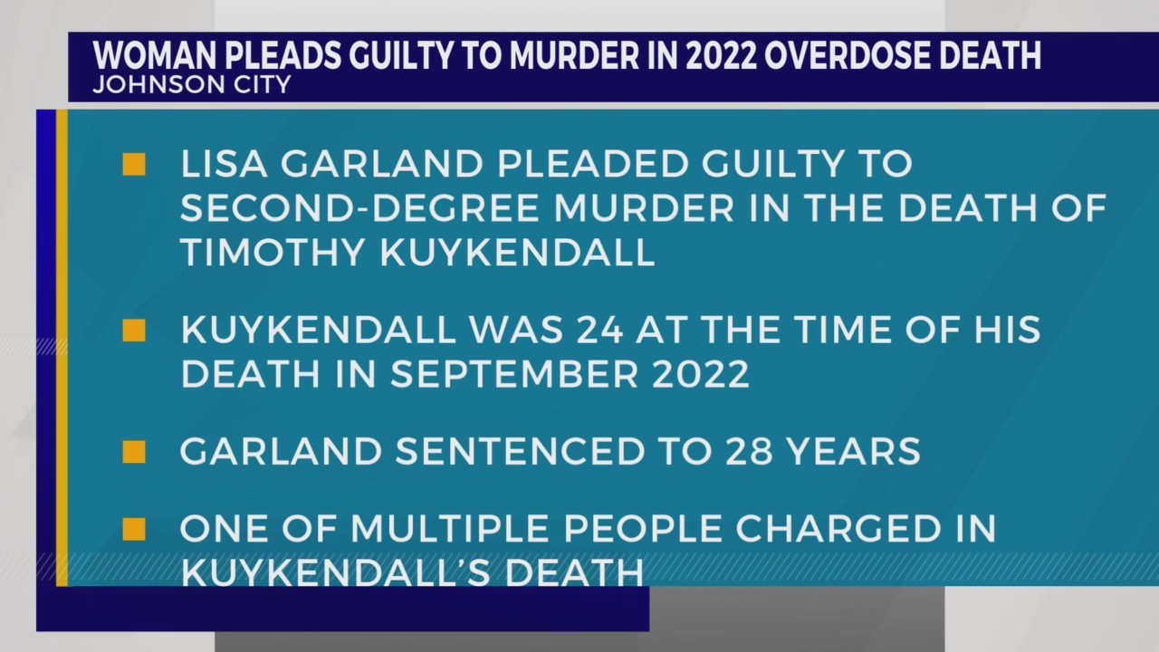 Woman pleads guilty to murder in 2022 Johnson City overdose death ...