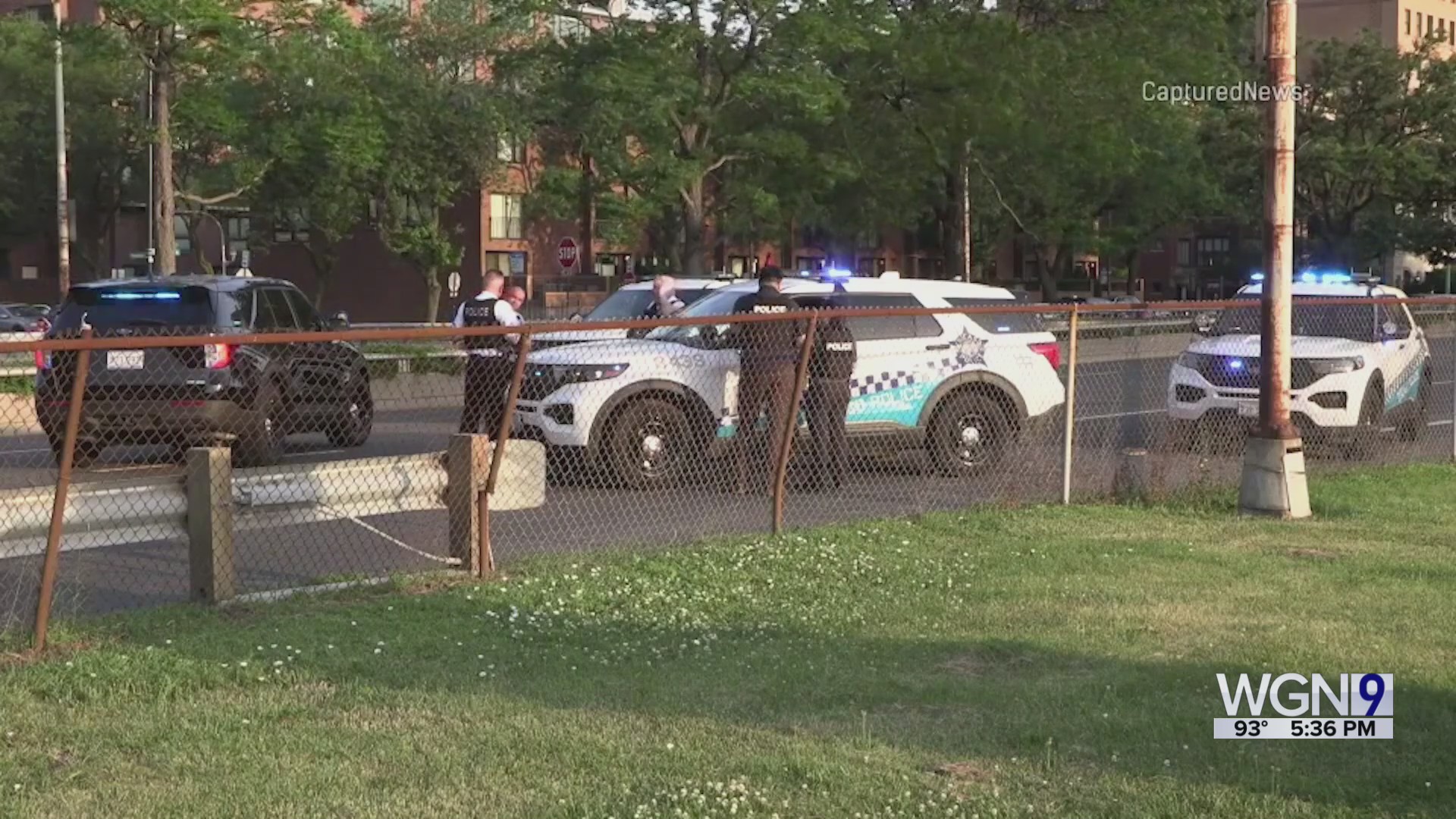 Man killed in hit-&-run crash along Lake Shore Drive in Lakeview – WGN-TV