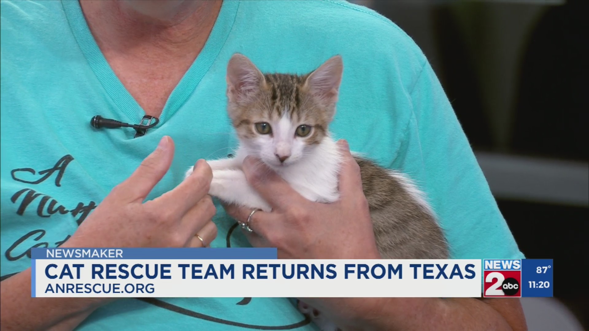 Newsmaker: Cat rescue team returns from Texas – WKRN News 2