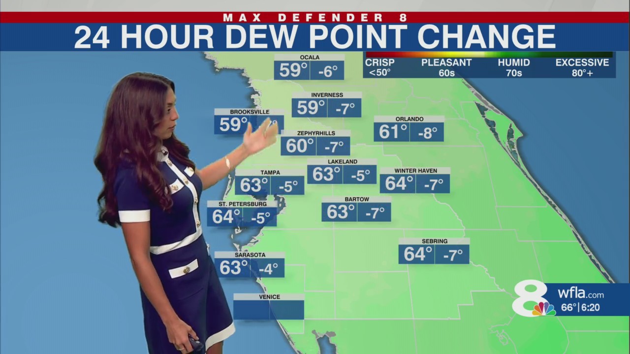 Drier with more sunshine in Tampa Bay Sunday – WFLA