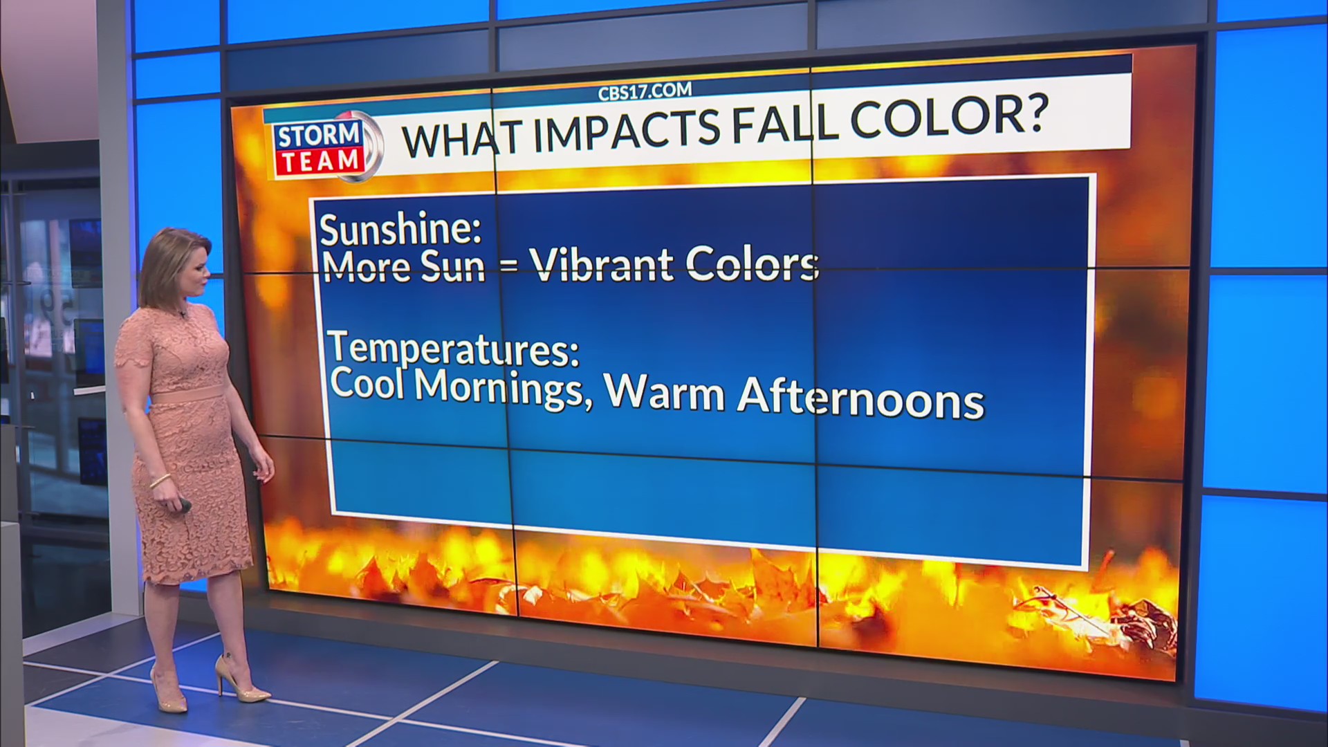 What impacts fall color?