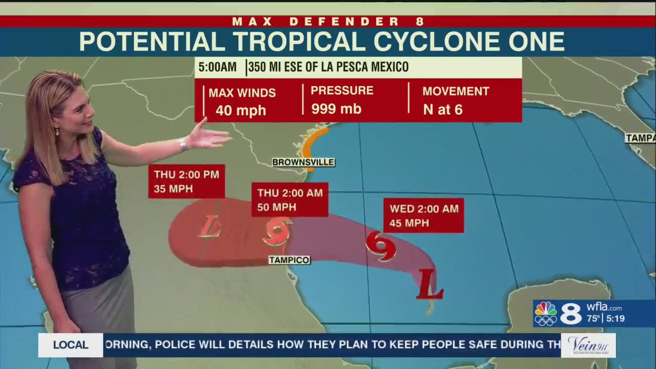 Disturbance near western Gulf of Mexico coast forecast to become 1st ...