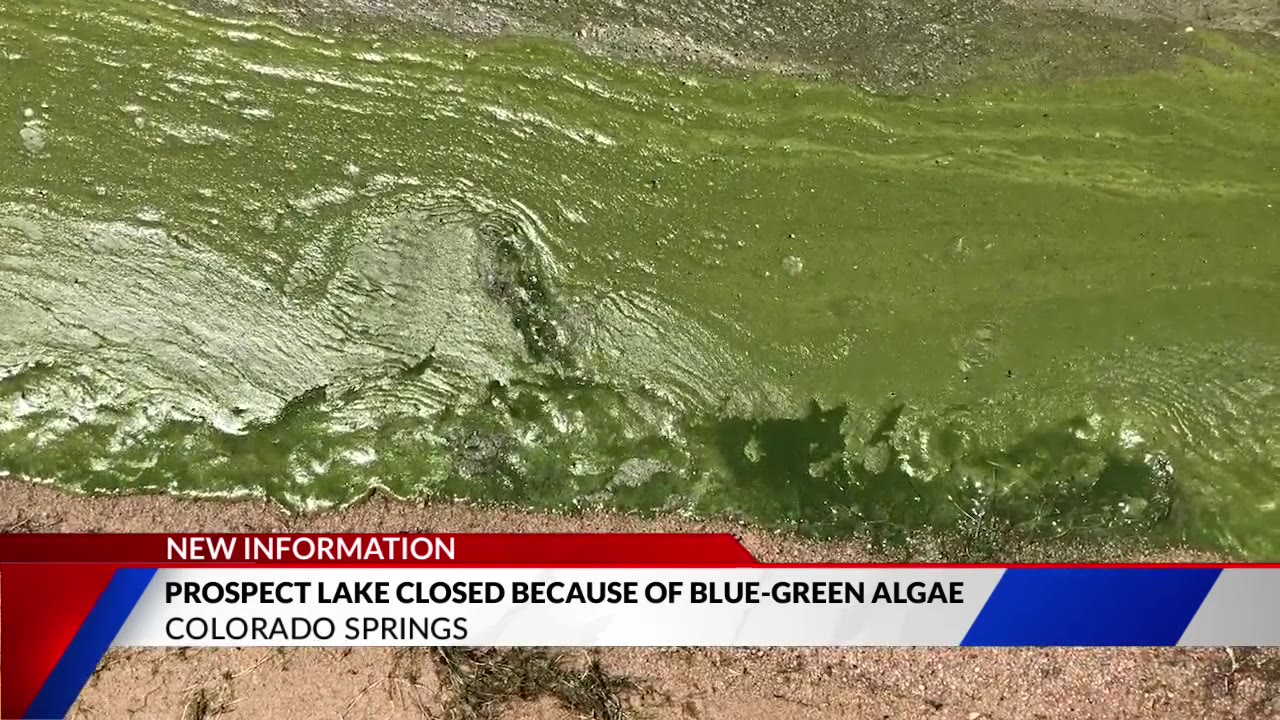 Prospect Lake closed due to presumed return of blue-green algae – FOX21 ...