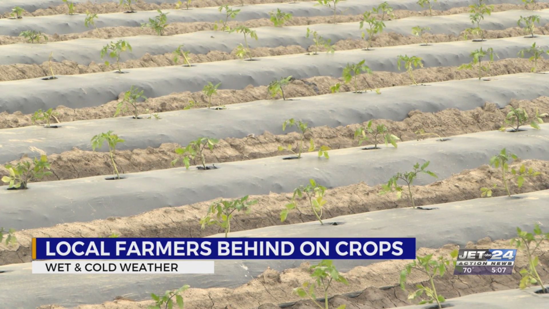 Local farmers fall behind due to wet, cold spring – WJET/WFXP/YourErie.com