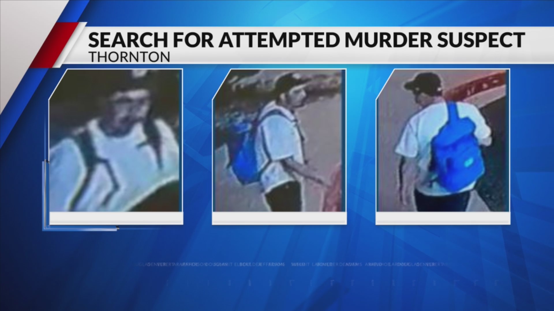 Police are looking for an attempted murder suspect in Thornton – FOX31 ...