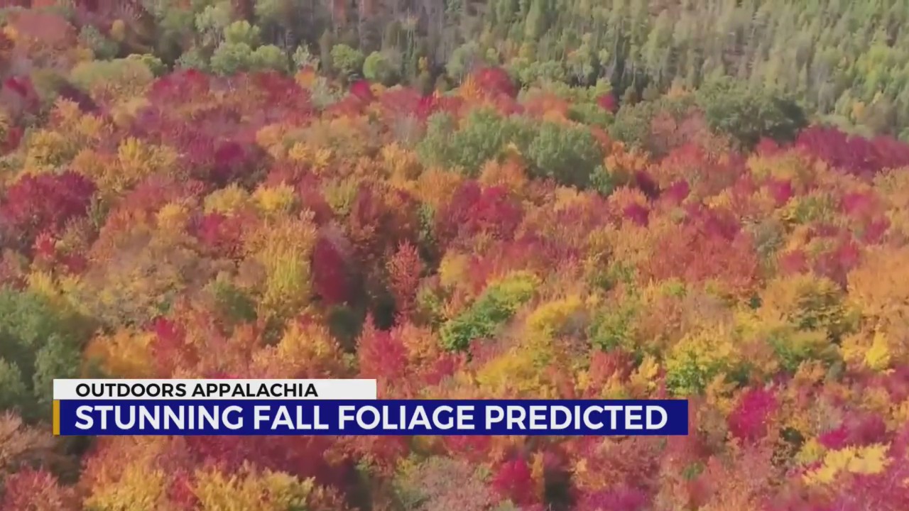 ETSU: Remarkable fall color season predicted for Appalachian Mountains ...