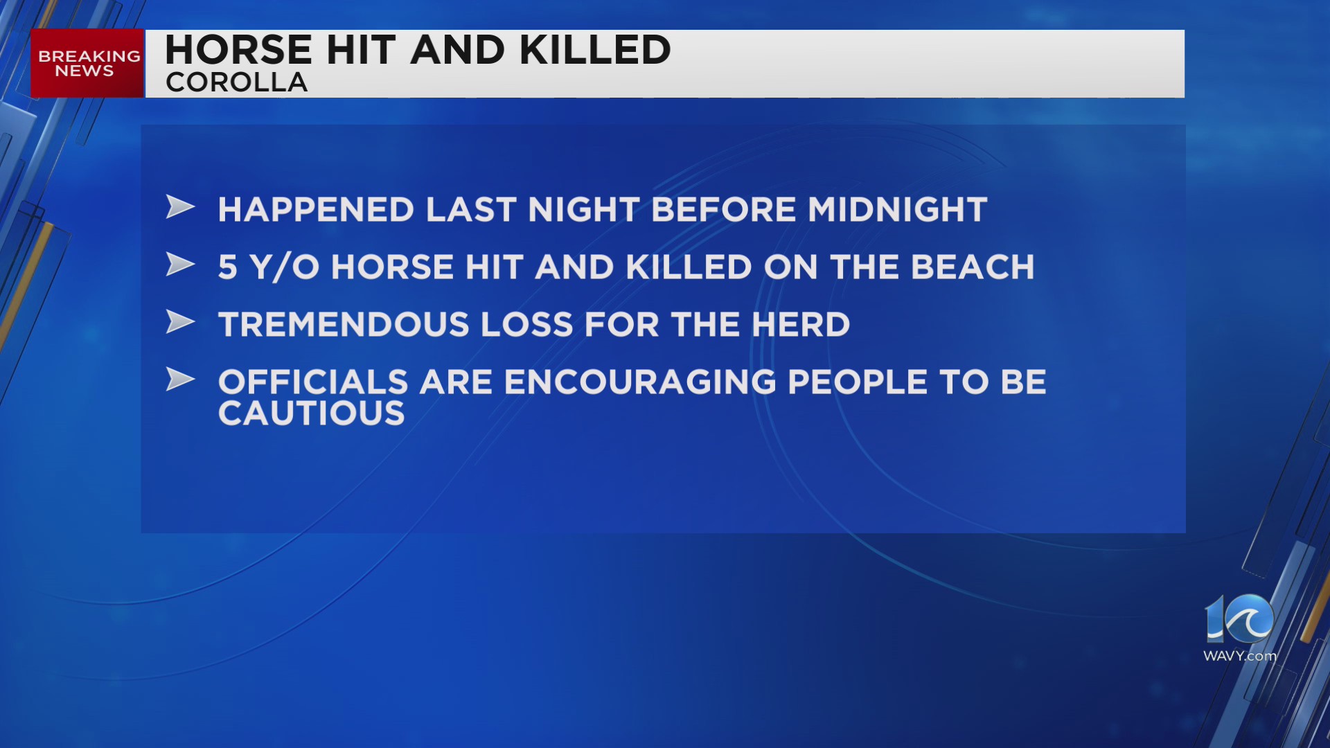 5-year-old horse dead after being struck on the beach in Corolla – WAVY.com