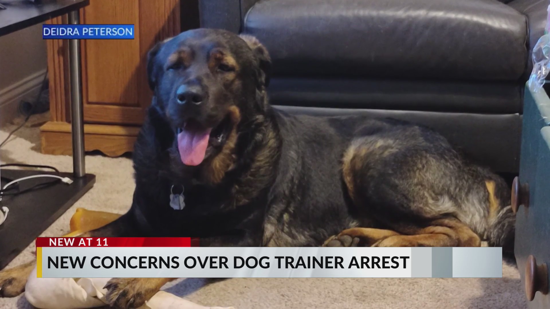 More owners come forward after dog trainer’s arrest
