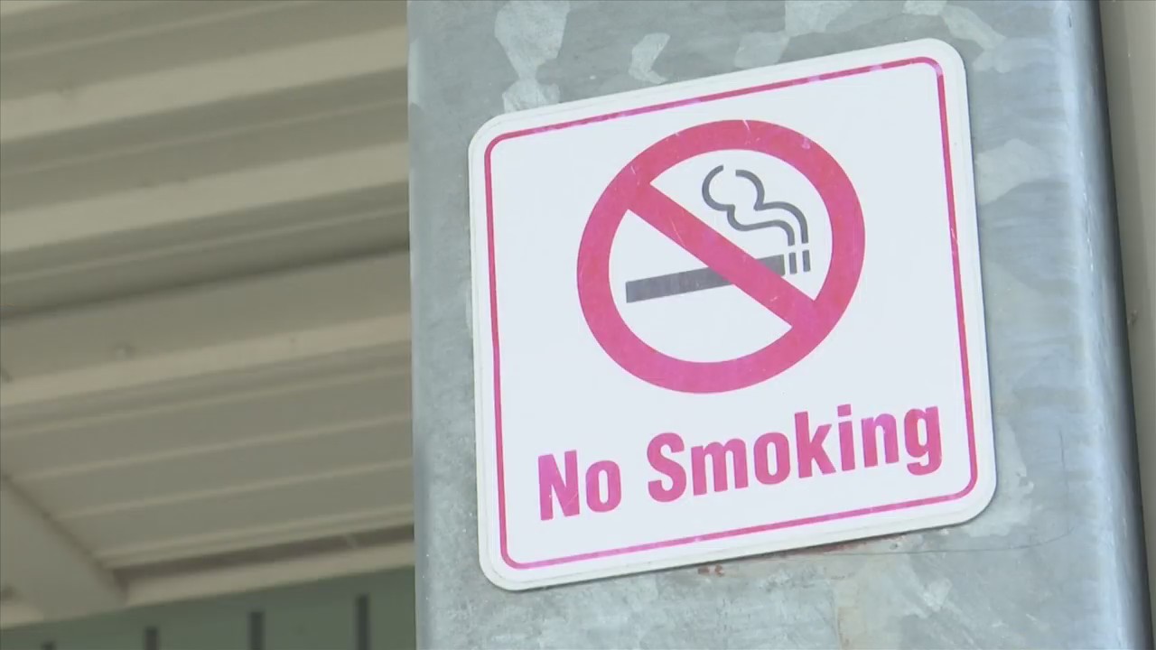 Panama City to vote on smoking - 9C84CBD2C8CEC9C88DA6CA6E9AD83BB1 