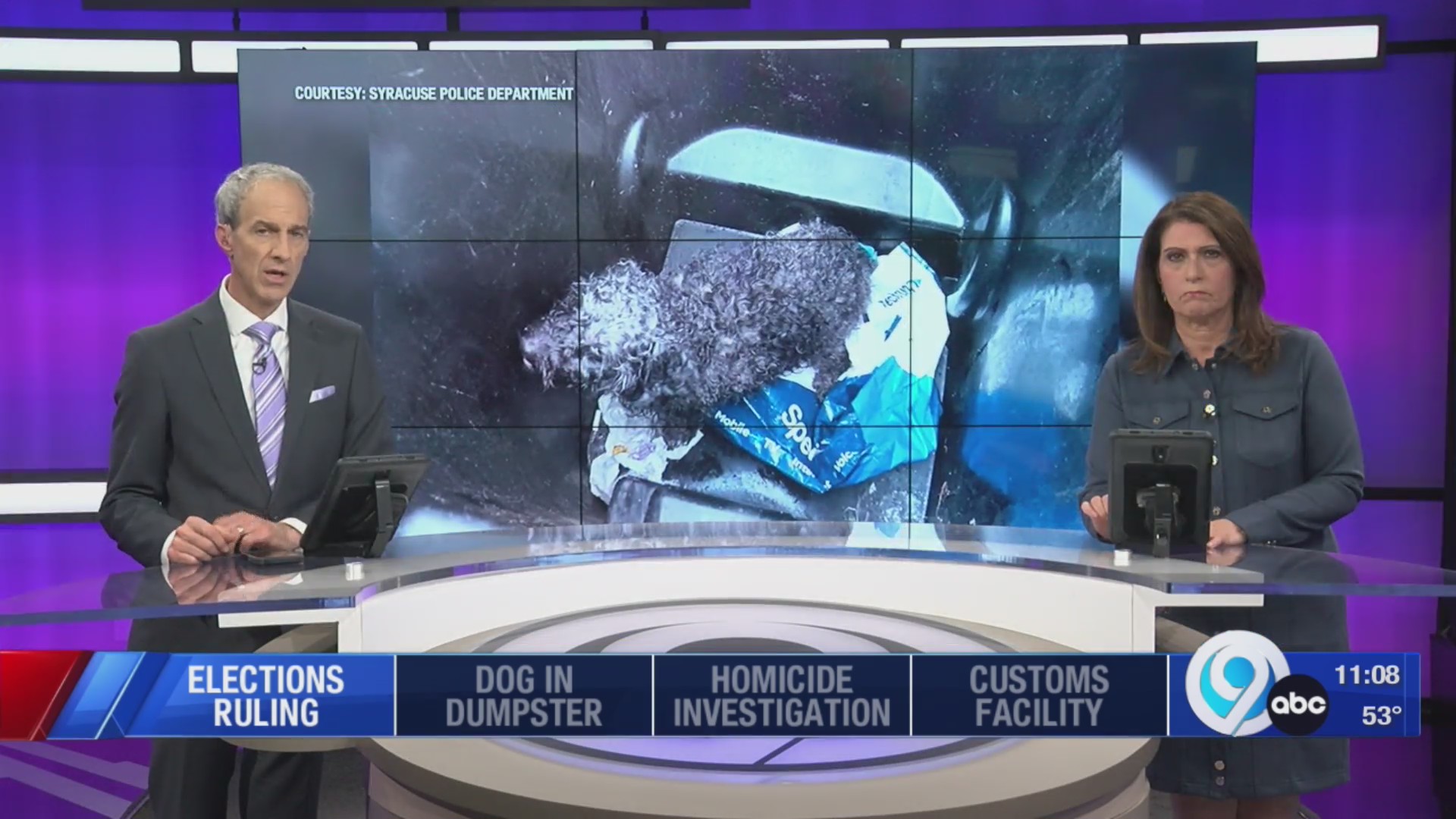 Suspect arrested after dog found in plastic bag and dumped in trash can ...