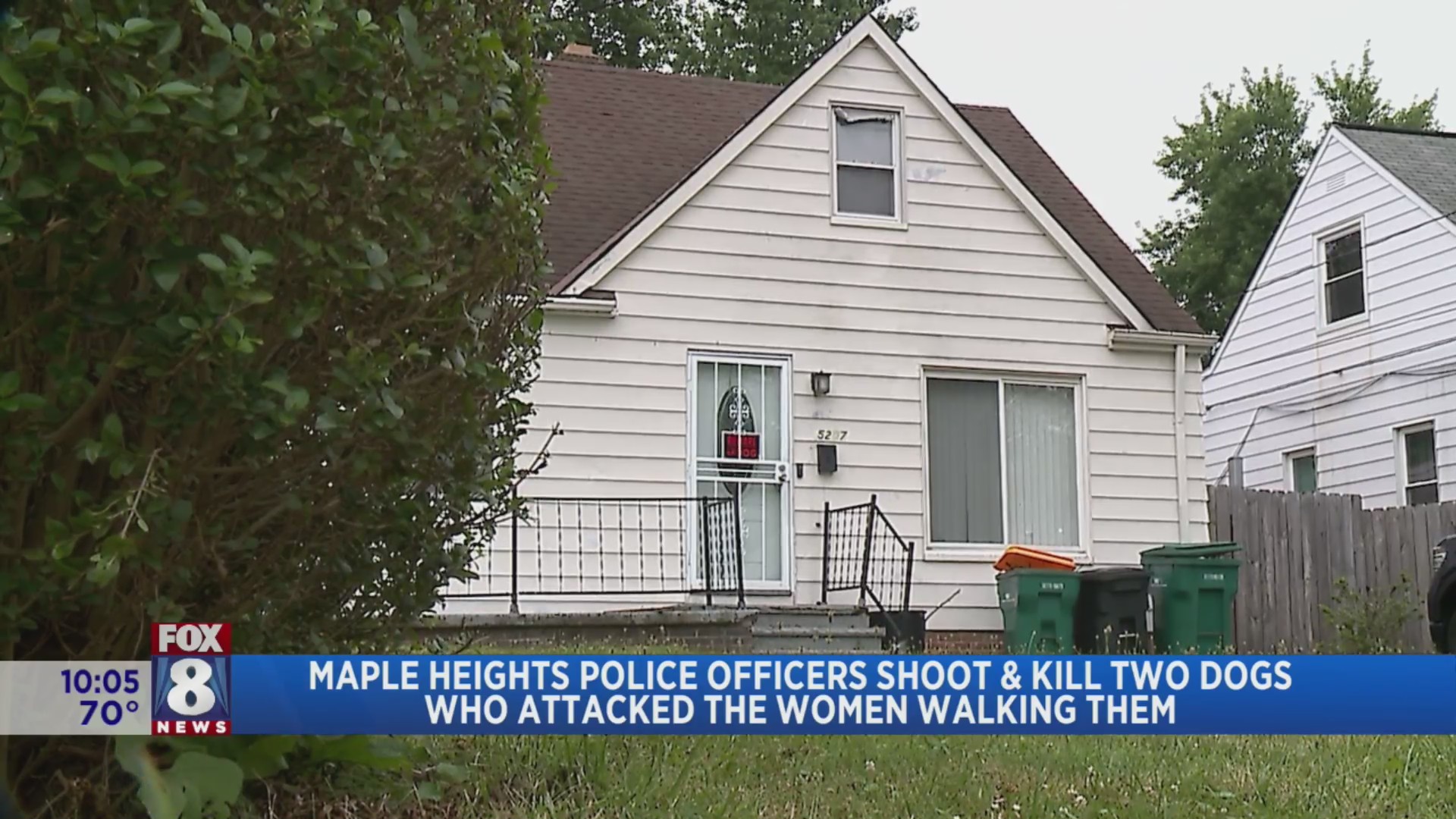 1 hospitalized after being attacked by two large dogs in Maple Heights ...