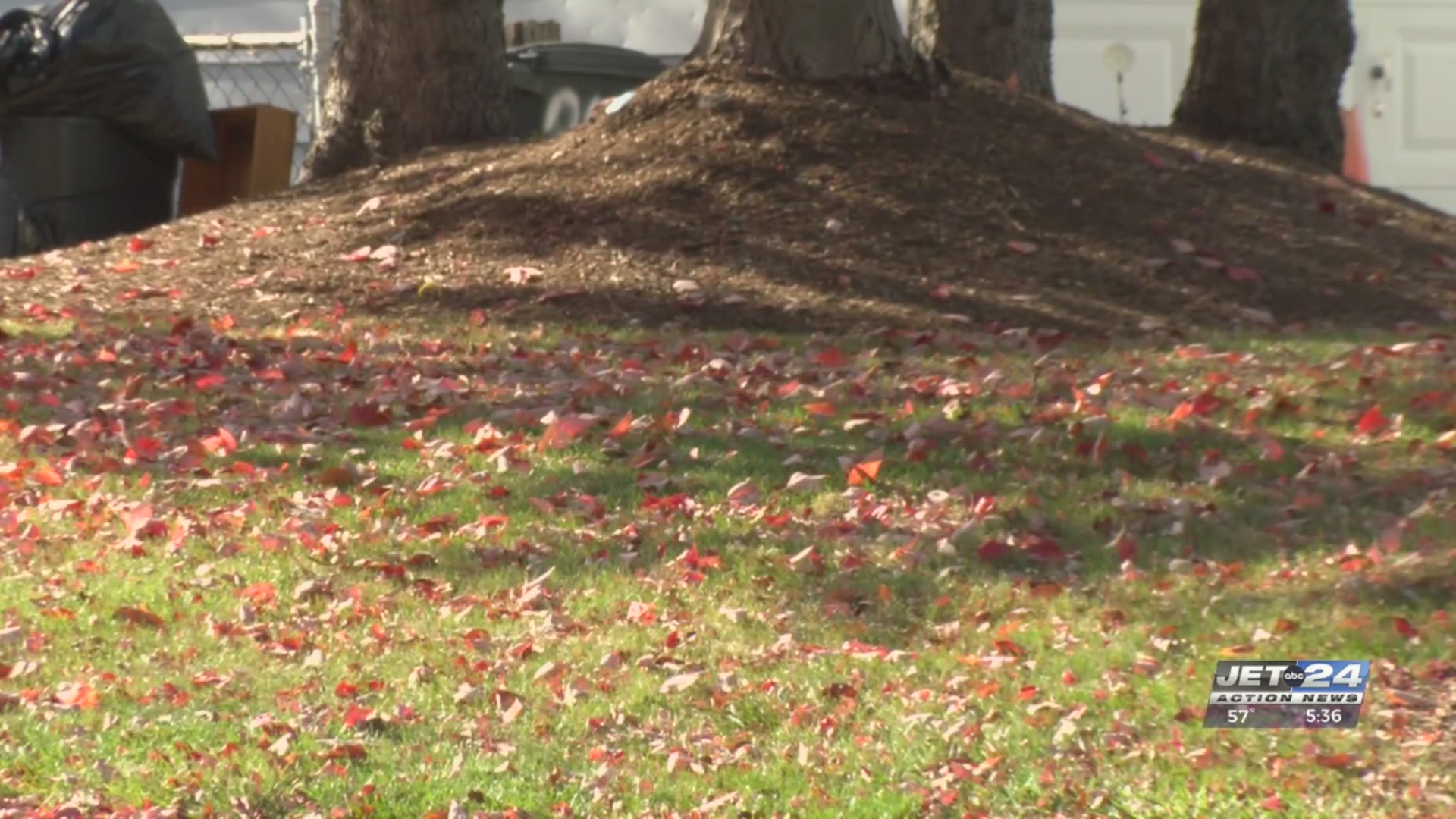 Fall leaves mean leaf clean up – Here’s what you need to know – WJET ...