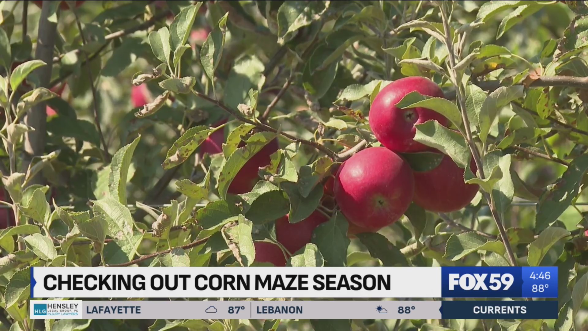 Central Indiana farms preparing for a busy fall season – Fox 59