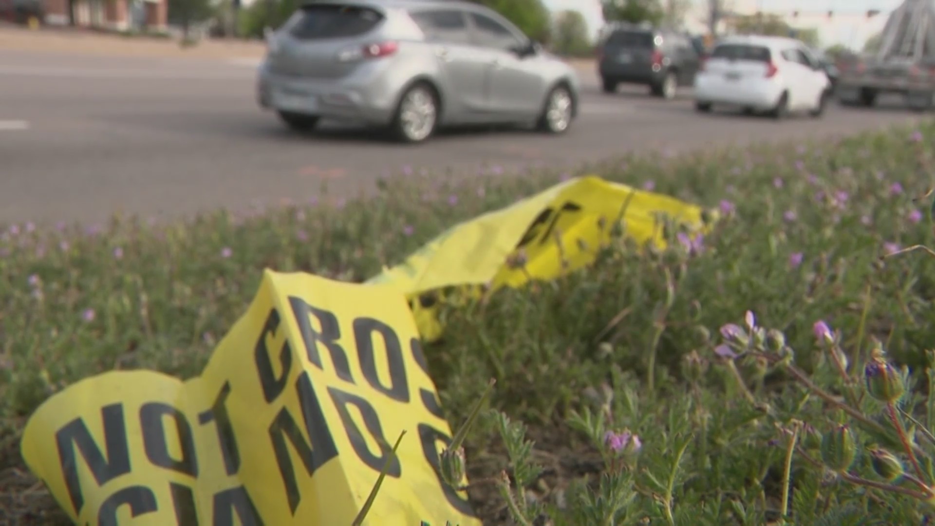 Arvada police looking for suspect in deadly hit-and-run – FOX31 Denver