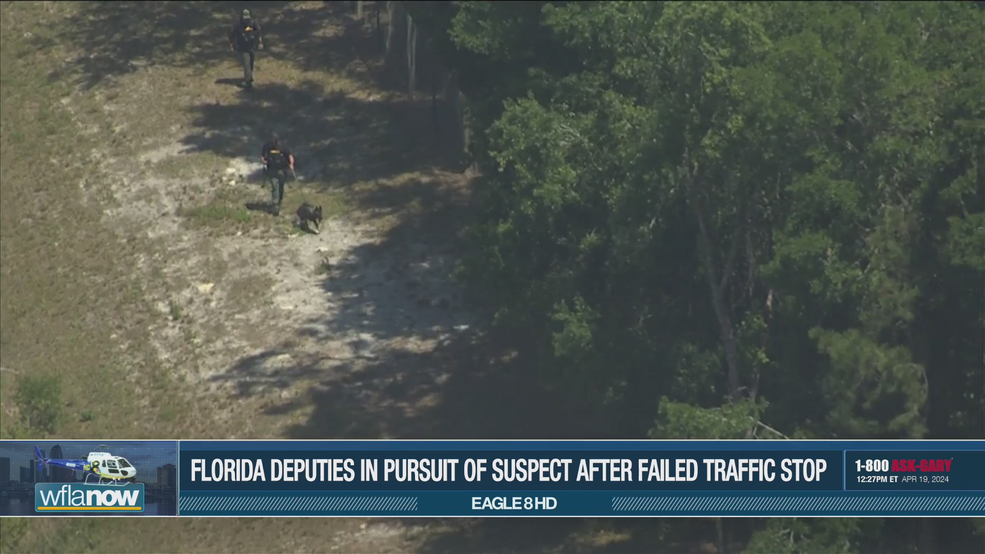Deputies comb Pasco County woods for pursuit suspect – WFLA