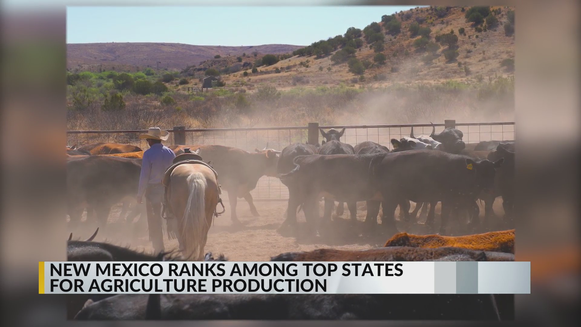 New Mexico ranks among the top states for farming, USDA data shows ...
