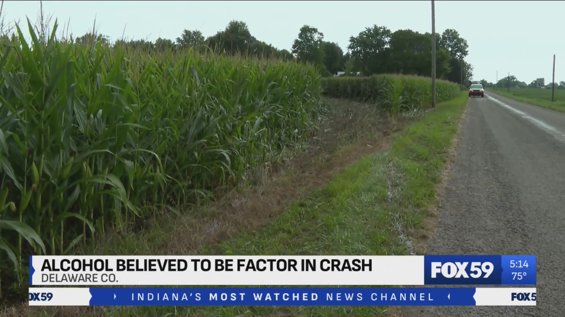Delaware County officials believe alcohol factor in deadly crash – Fox 59