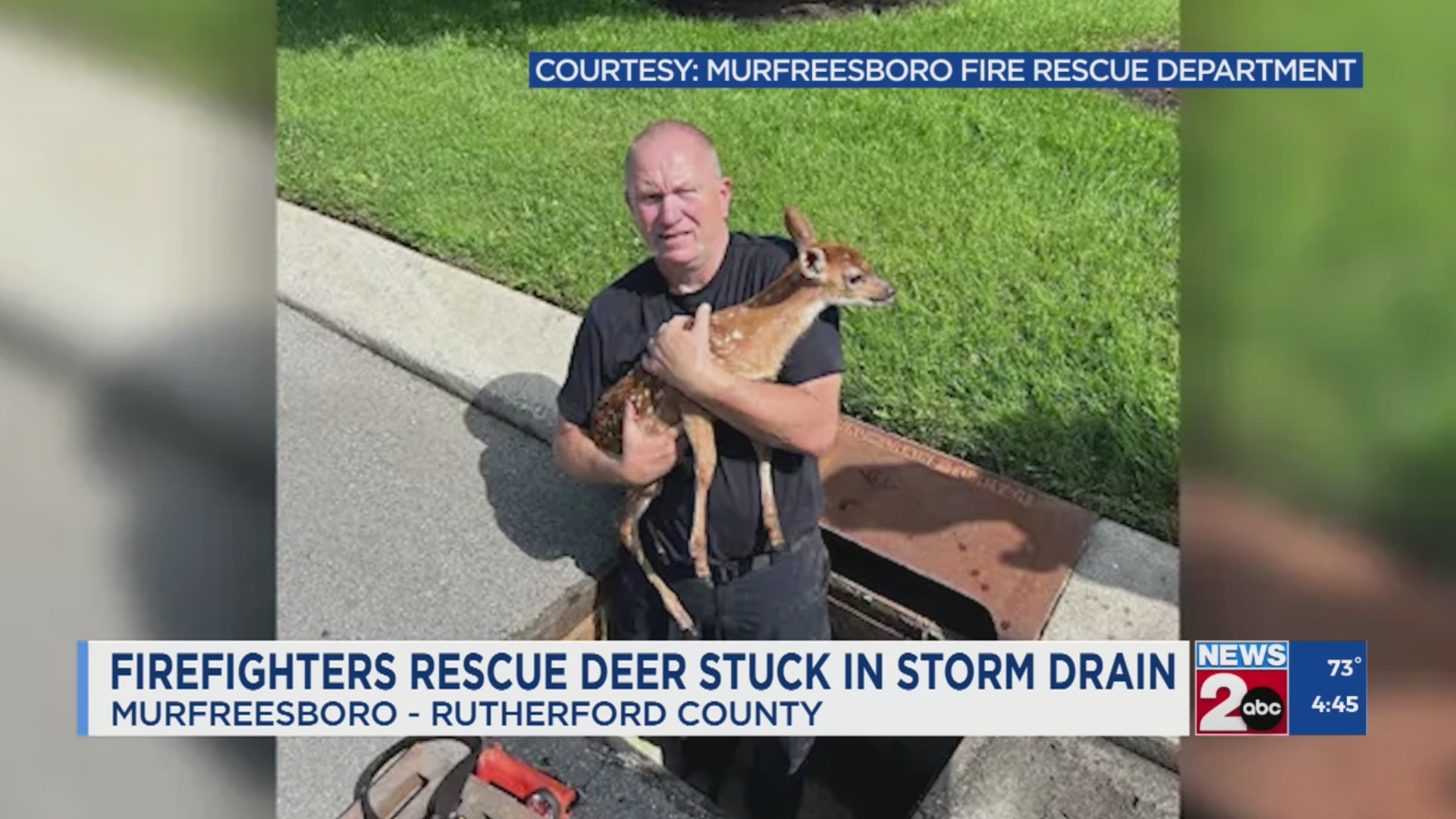 Murfreesboro firefighters rescue baby deer stuck in storm drain WKRN(02)