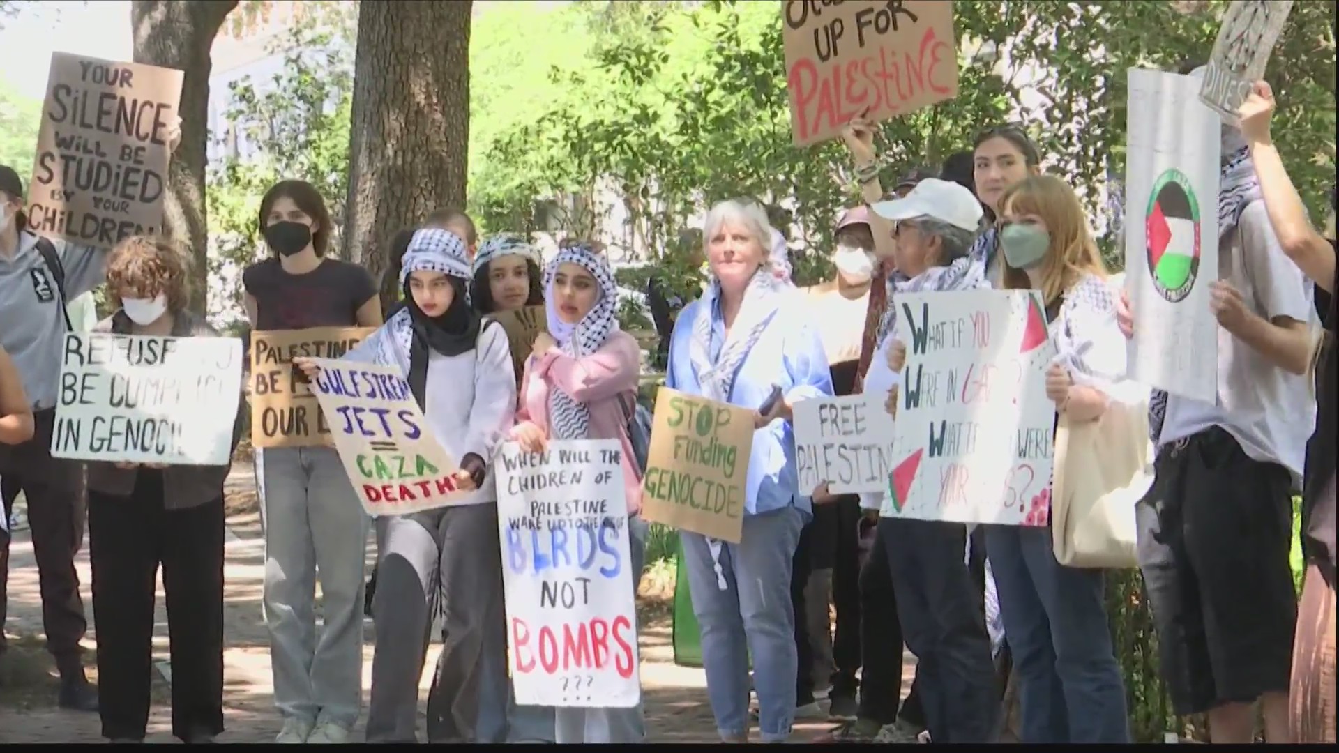 Pro-Palestine rally draws crowd – WSAV-TV