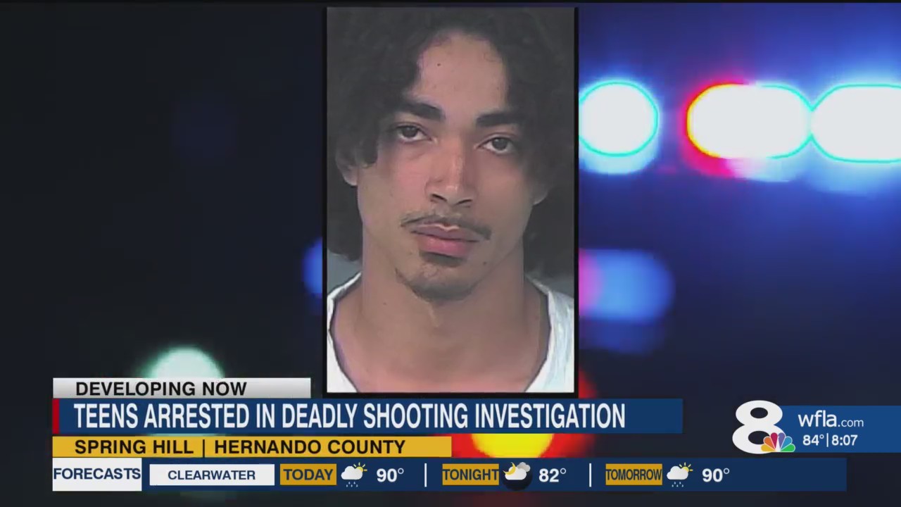1 of 3 teens shot at Spring Hill apartment complex dies; 3 charged – WFLA