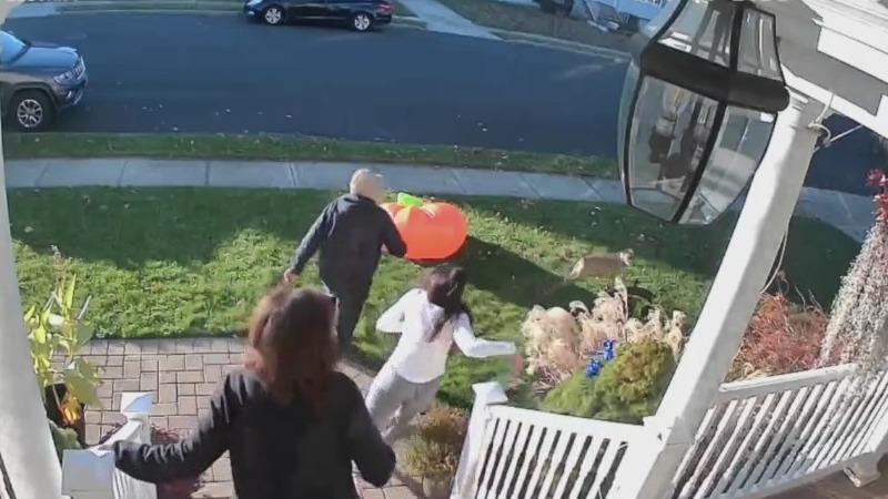 Thief caught on camera stealing package mid-delivery at NY home – PIX11