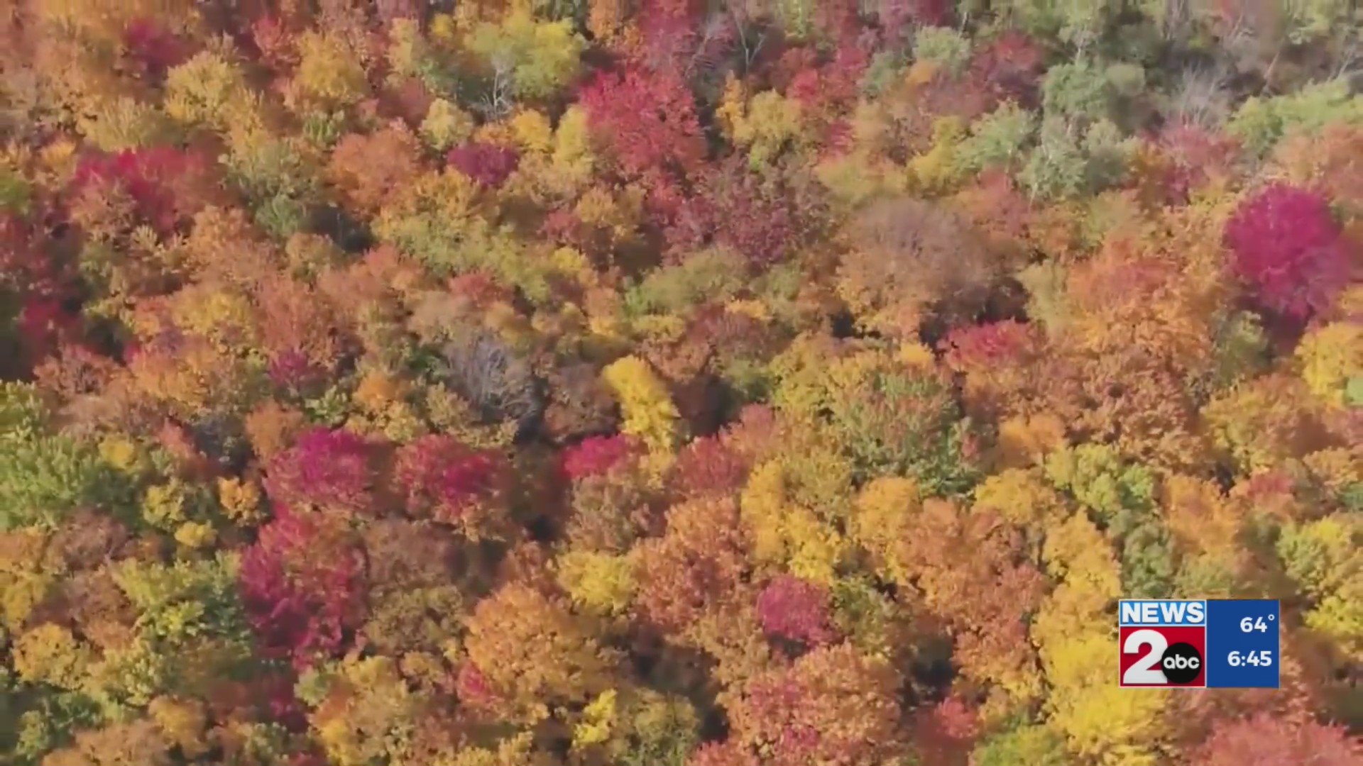 Fall foliage forecast for Middle Tennessee – WKRN News 2