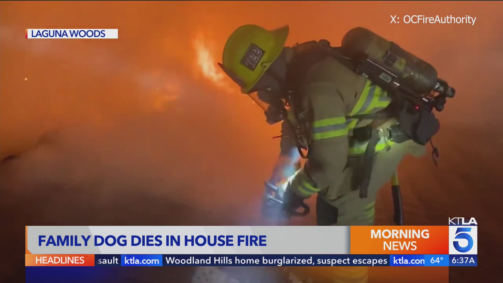 Dog found dead after fire erupts in O.C. home – KTLA