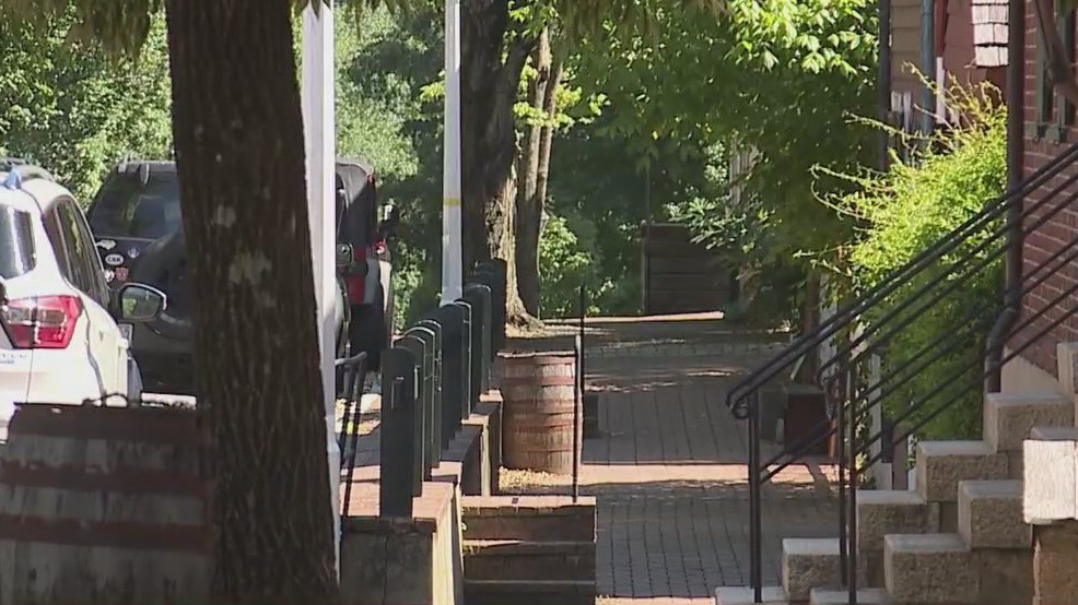 Two people attacked by rabid fox in Winston-Salem – FOX8 WGHP