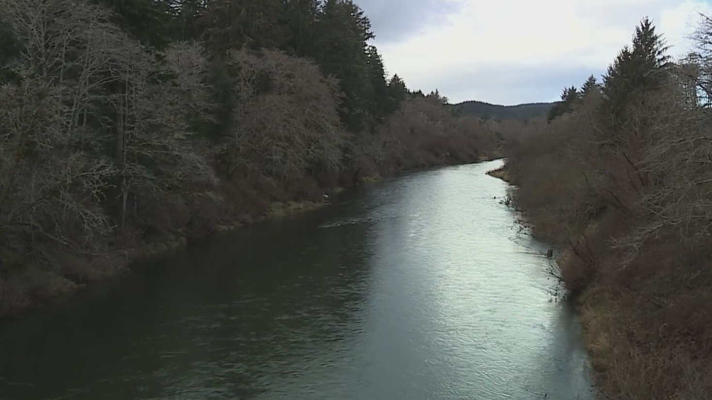 The death of Dane Paulsen: New details of body found in Siletz River ...