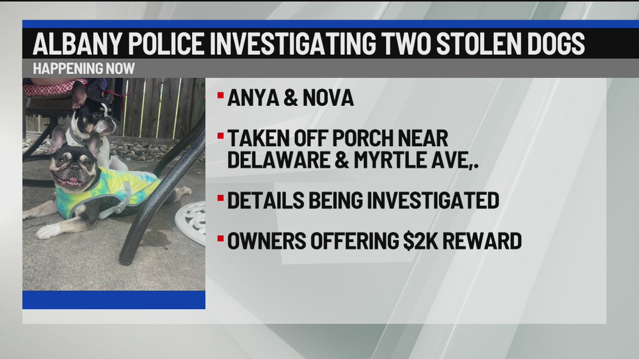 Albany Police investigating two stolen dogs – NEWS10 ABC