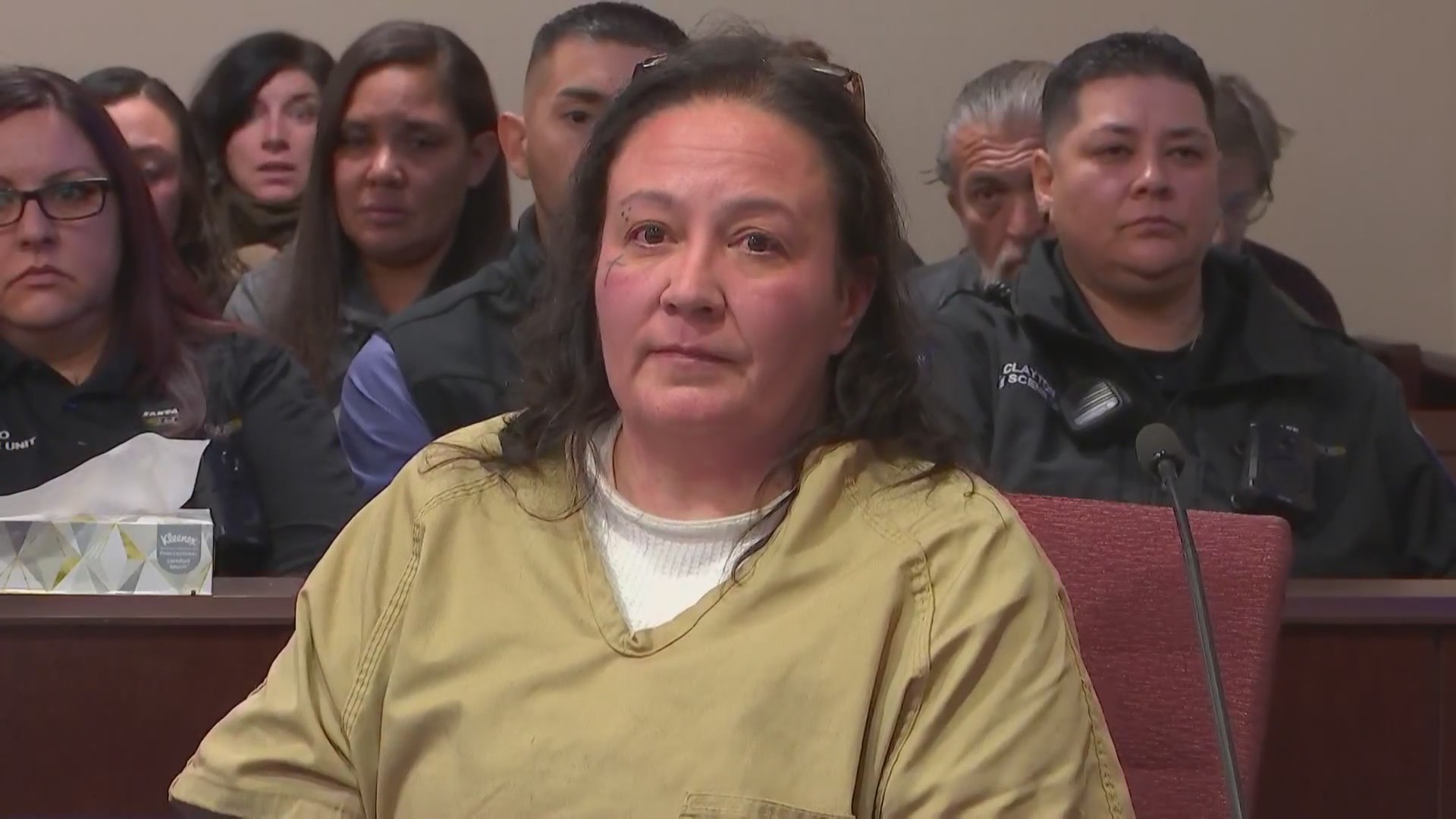 New Mexico woman who killed 2 in wrong way crash sentenced to life in ...