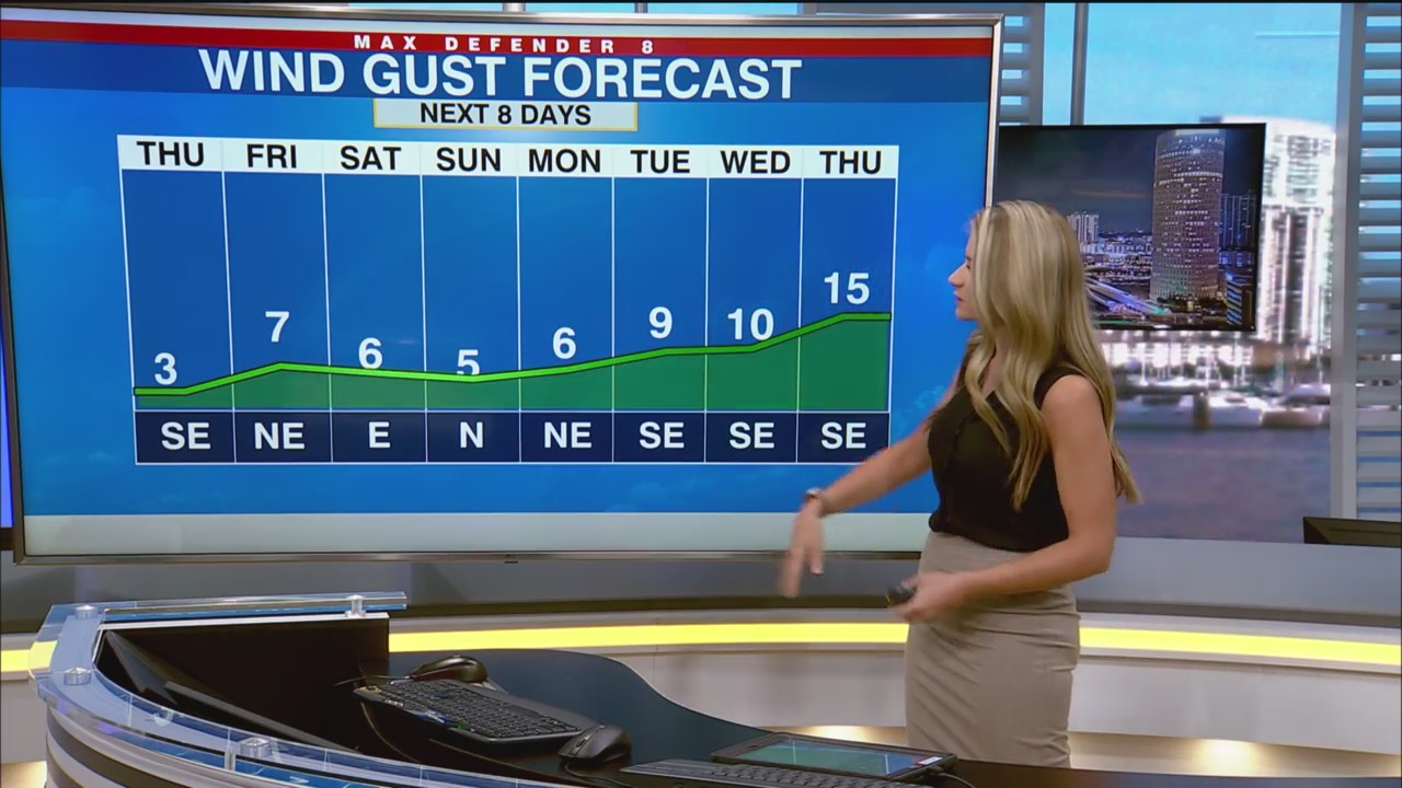 Warm, sunny and dry through the weekend – WFLA