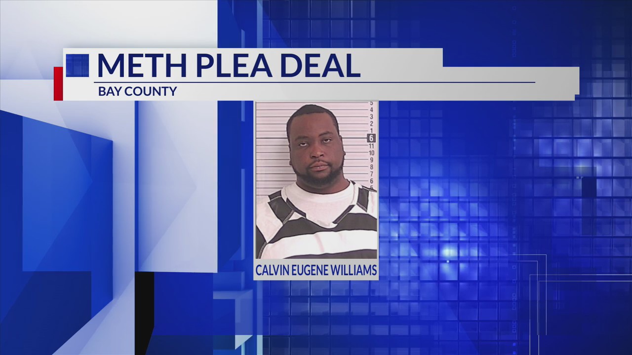 Panama City man pleads guilty to two federal drug charges – mypanhandle.com