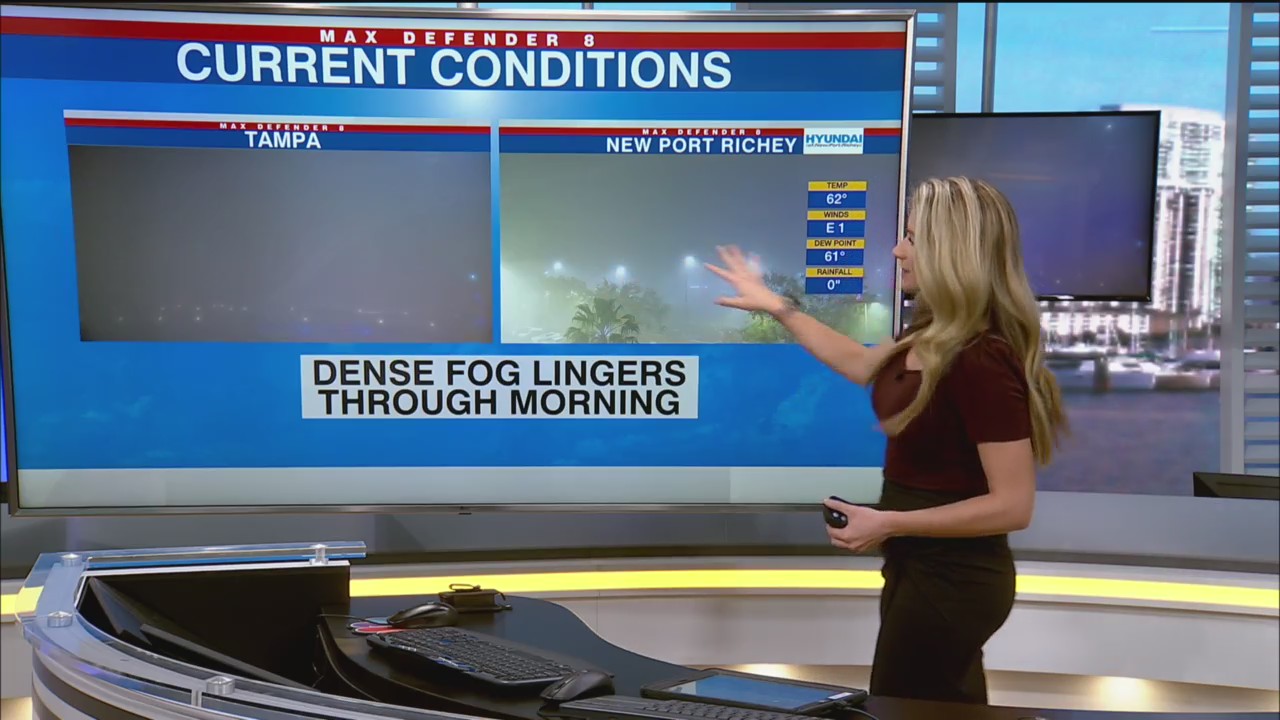 Warm w/ foggy mornings likely this week