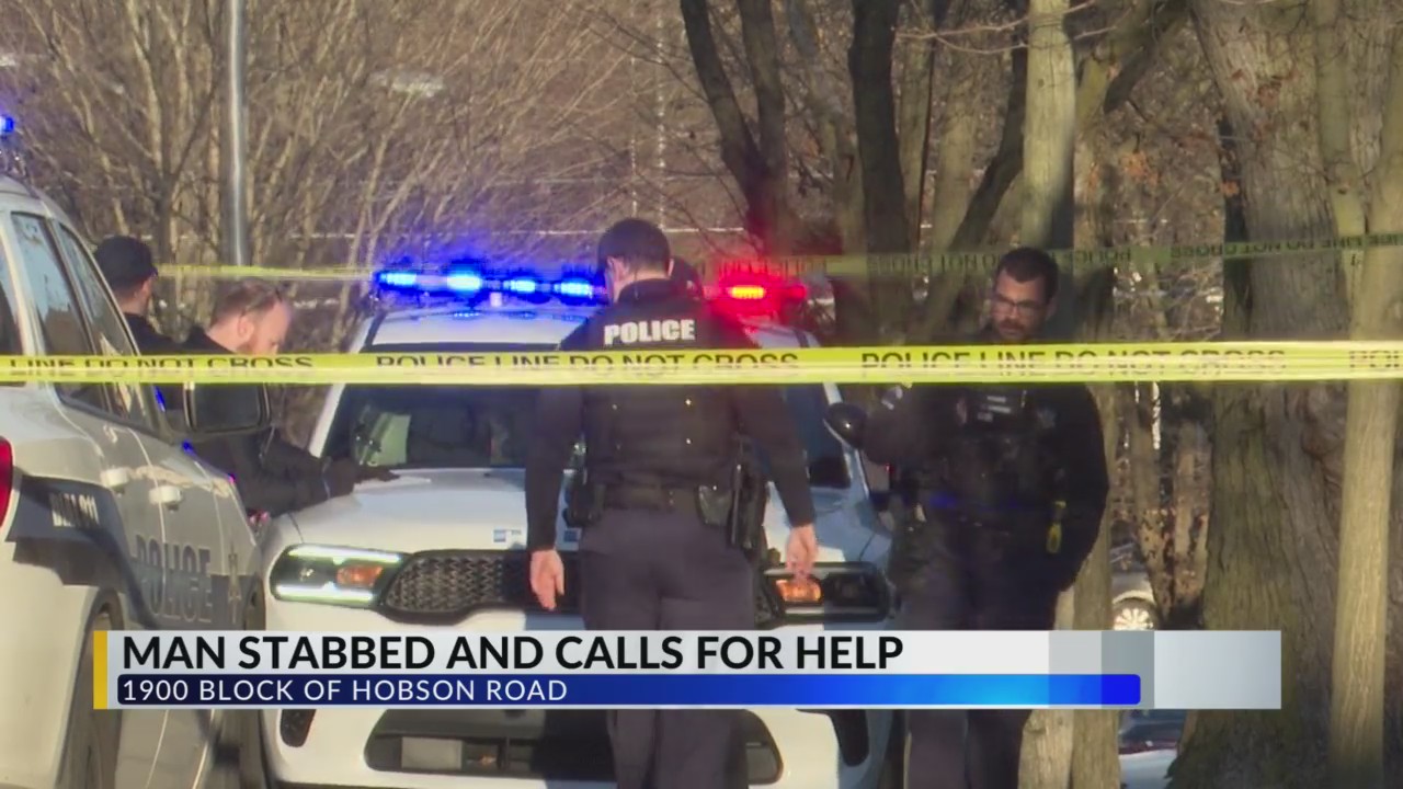 2 arrested in Fort Wayne stabbing, victim lives – WANE 15