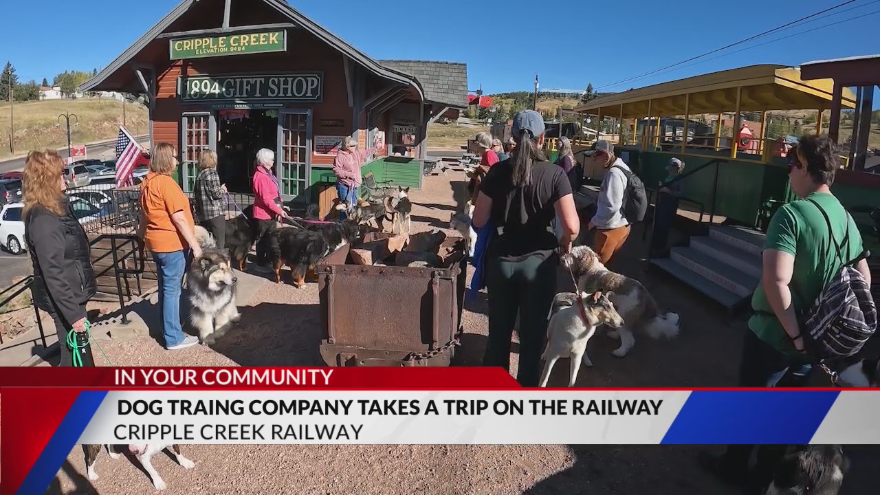 Dogs ride on Cripple Creek Railroad for training FOX31 Denver