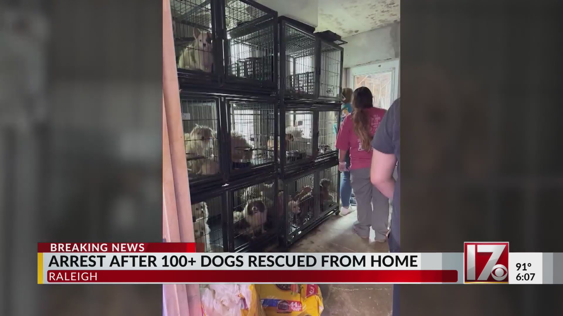 Arrest made after 100+ dogs rescued from home in Raleigh – CBS17.com