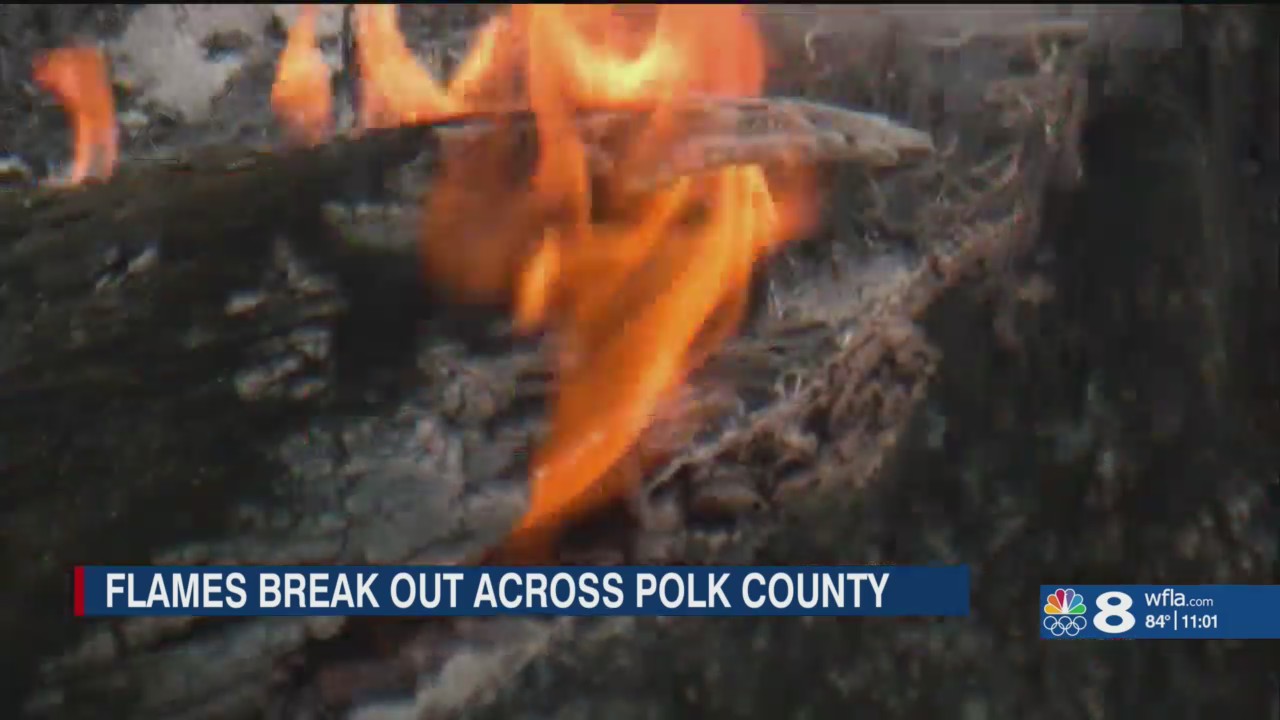 Brush fires burn areas in several Tampa Bay-area counties – WFLA