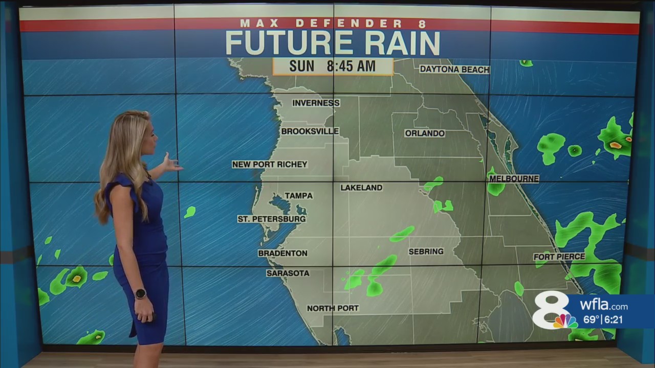 Mild and mostly dry weekend in Tampa Bay – WFLA
