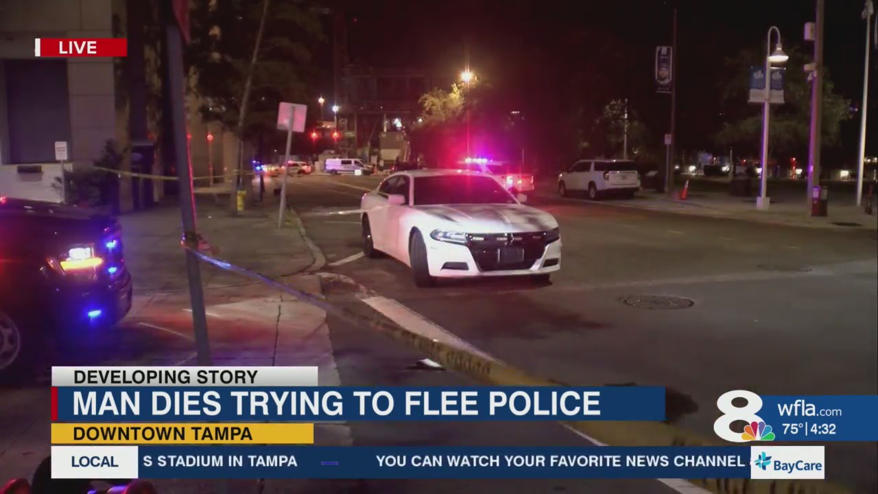Suspect fatally struck by car after escaping officers during arrest ...