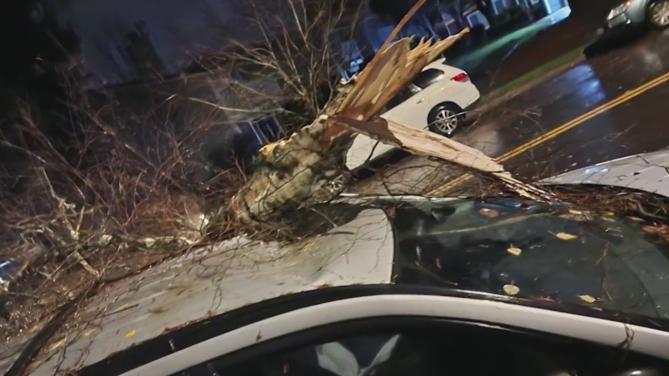 High winds cause power outages, downed trees across PNW – KOIN.com
