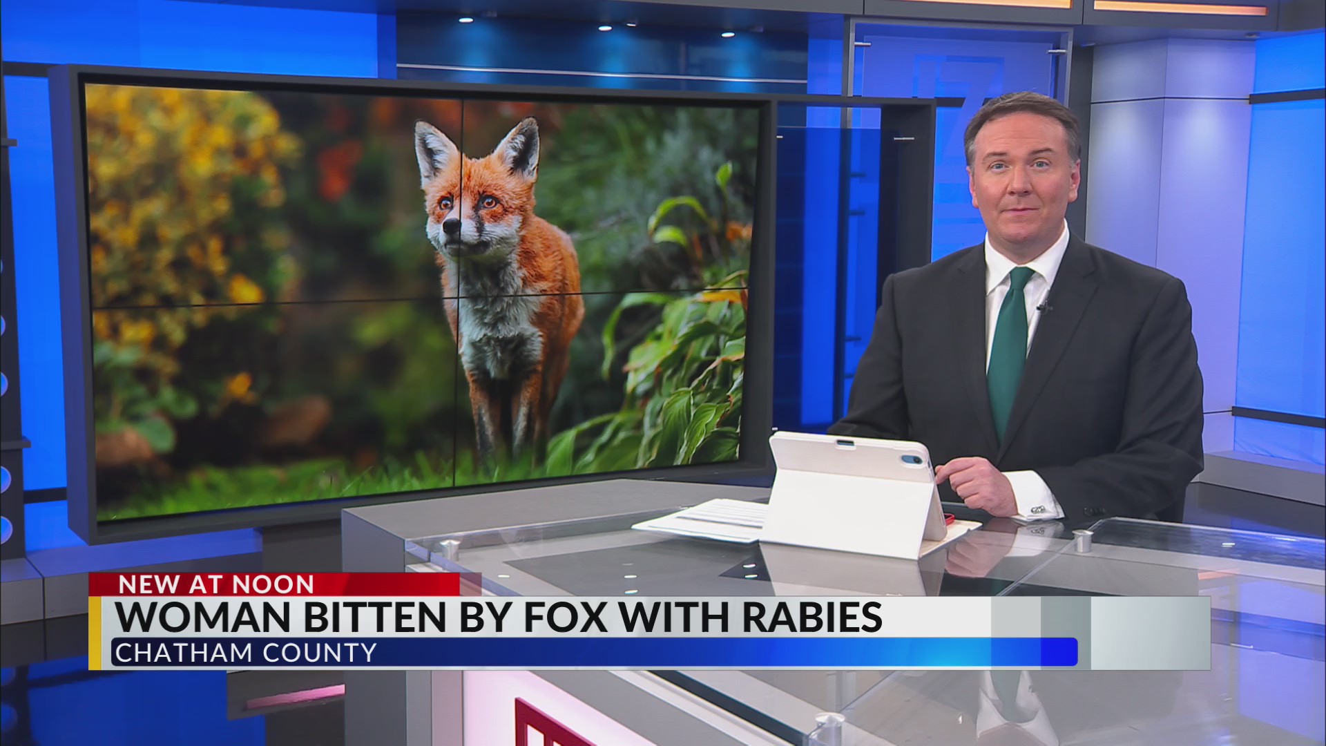 Woman bitten by rabid fox in Chatham County – CBS17.com