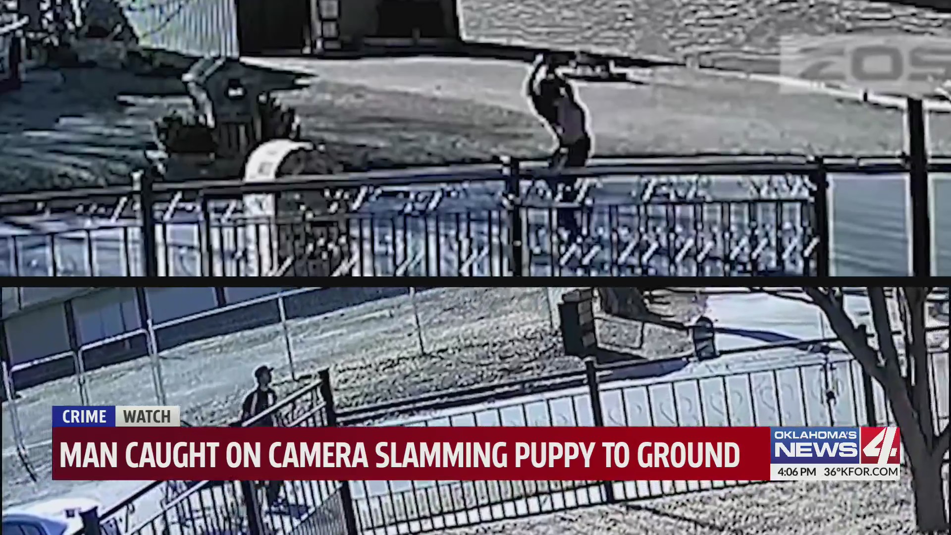 Man caught on camera slamming puppy to ground – KFOR.com Oklahoma City
