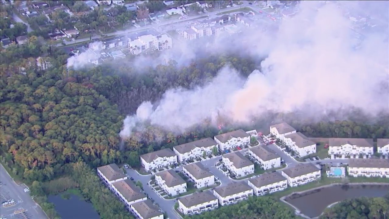 Crews battle brush fire near homes in Port Richey – WFLA